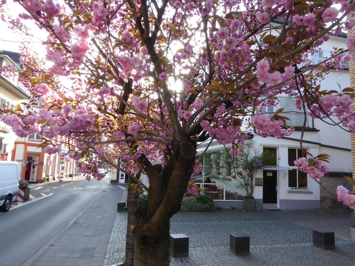 Storyhotel Bergischer Hof Königswinter Extérieur photo